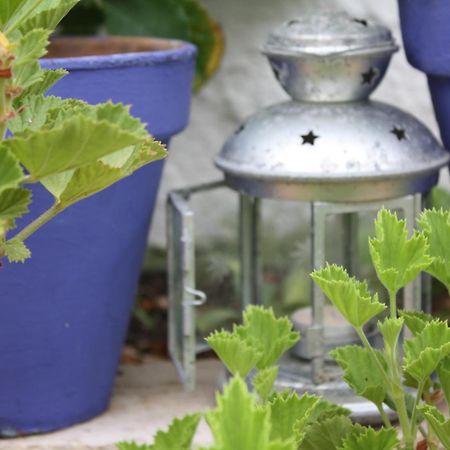 El Cobijo De Vejer Hotel Vejer de la Frontera Bagian luar foto